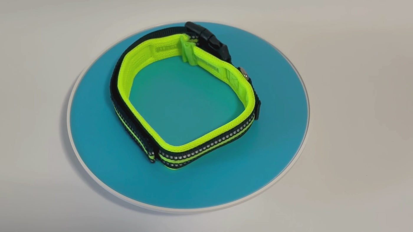 Activator Pet Collar